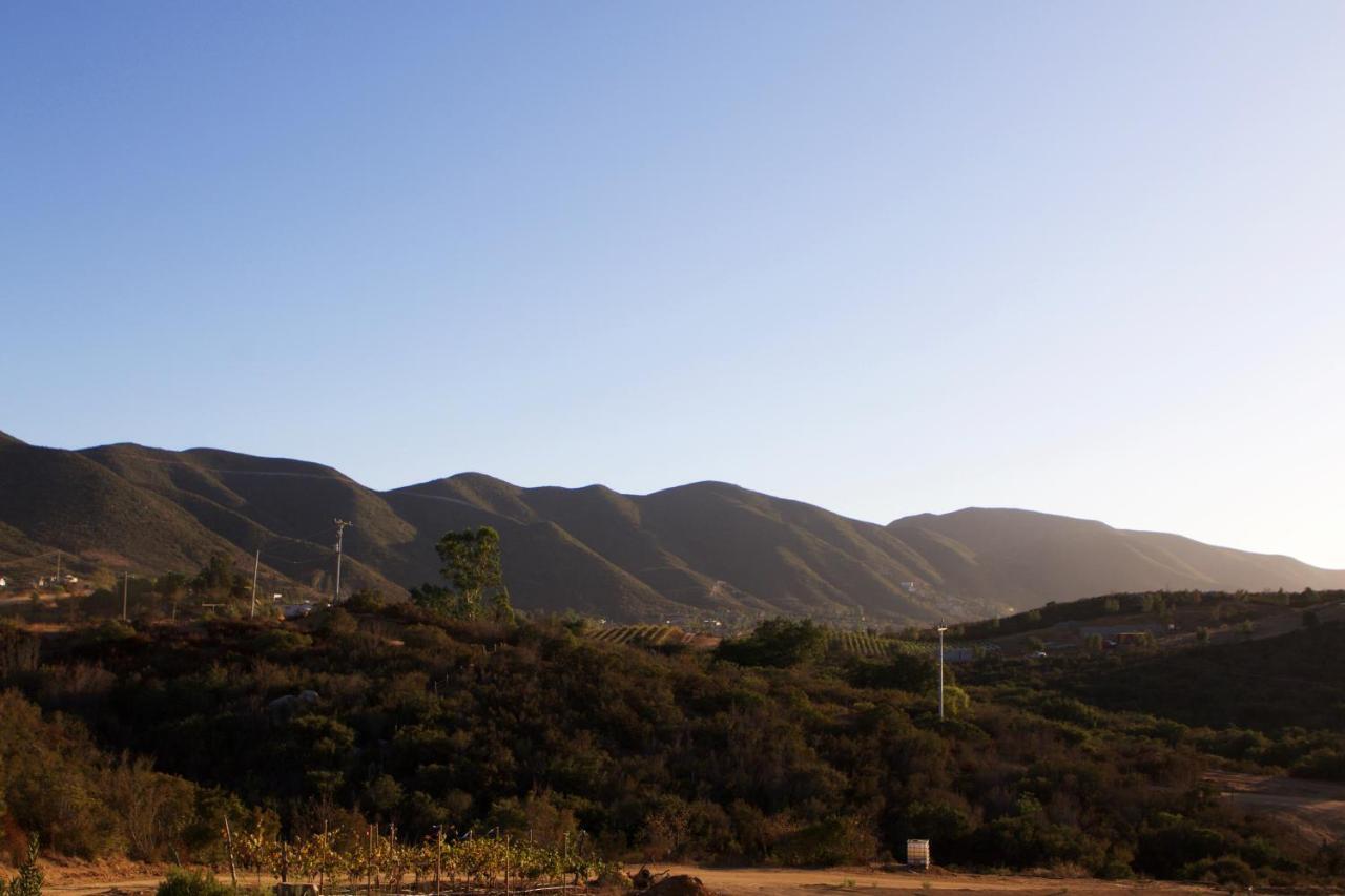 Quinta Lucia Otel Valle de Guadalupe Dış mekan fotoğraf