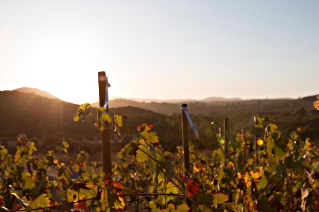 Quinta Lucia Otel Valle de Guadalupe Dış mekan fotoğraf